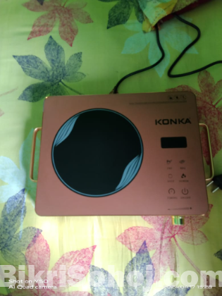 Electric cooker (konka)